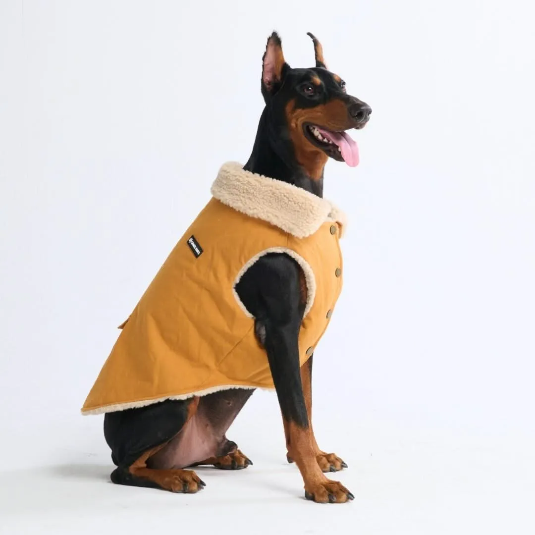 Workdog Insulated Utility Jacket Jackets